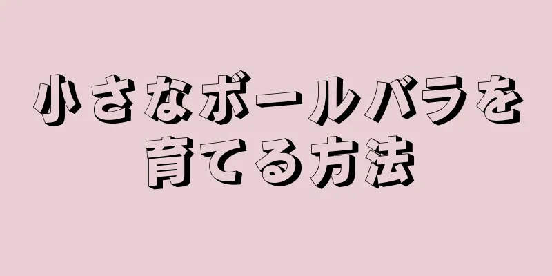 小さなボールバラを育てる方法