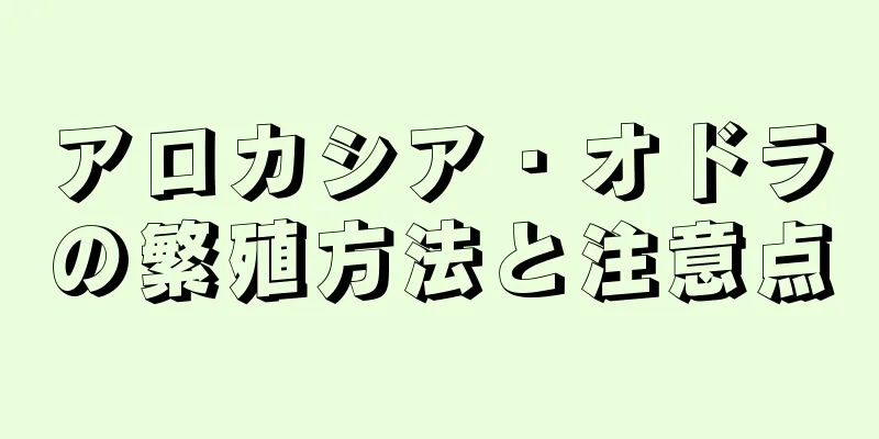 アロカシア・オドラの繁殖方法と注意点