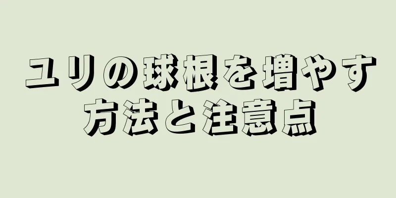 ユリの球根を増やす方法と注意点