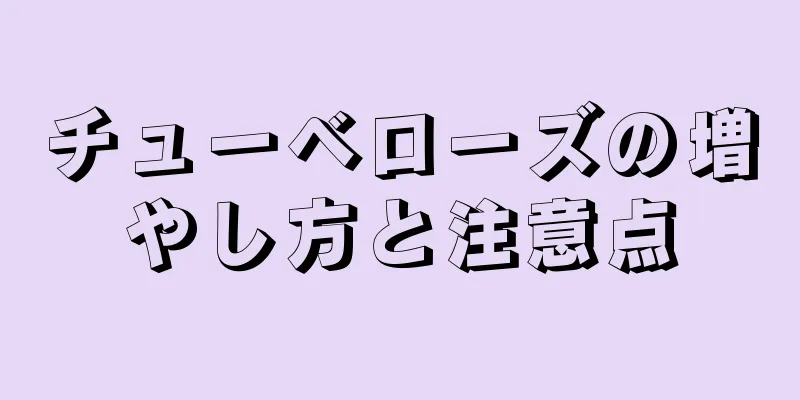 チューベローズの増やし方と注意点