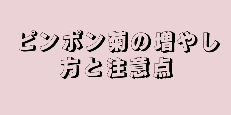 ピンポン菊の増やし方と注意点