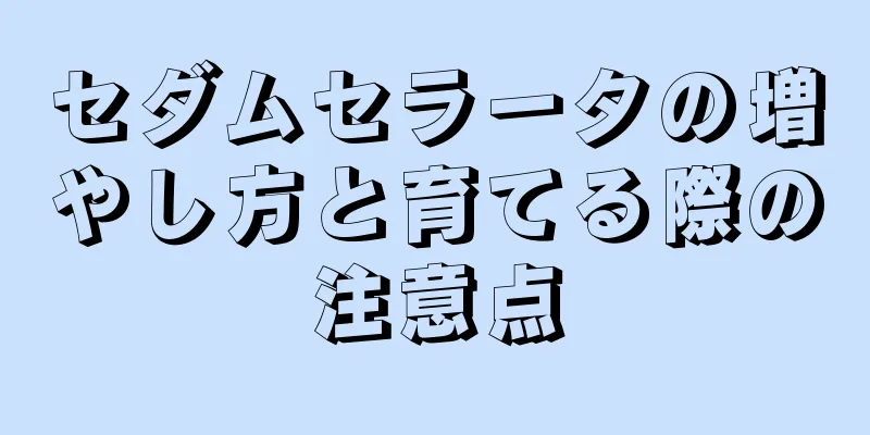 セダムセラータの増やし方と育てる際の注意点