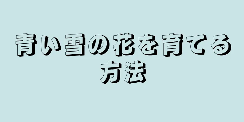 青い雪の花を育てる方法