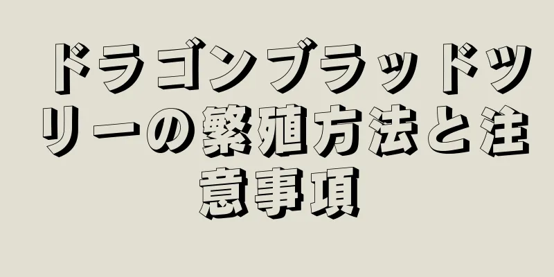 ドラゴンブラッドツリーの繁殖方法と注意事項