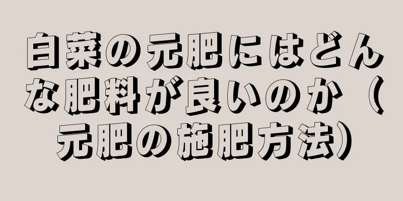 白菜の元肥にはどんな肥料が良いのか（元肥の施肥方法）