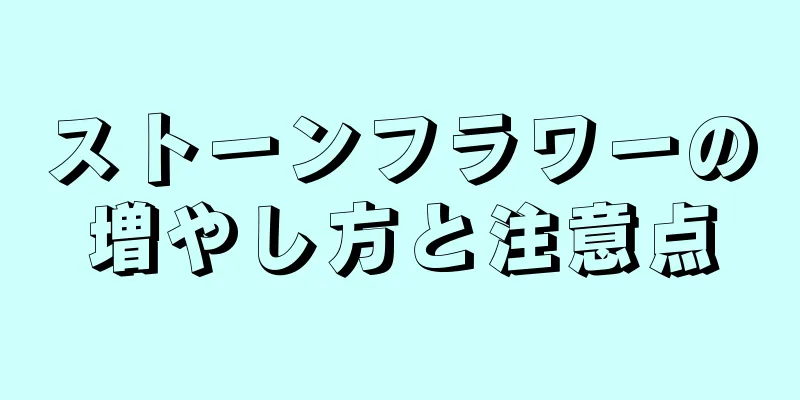 ストーンフラワーの増やし方と注意点