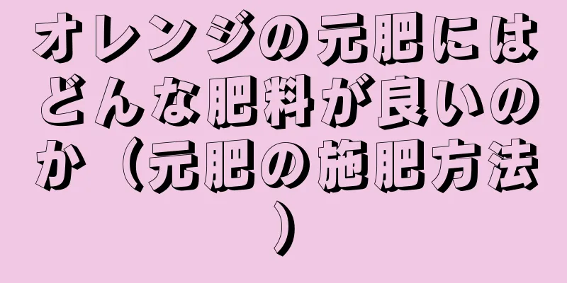 オレンジの元肥にはどんな肥料が良いのか（元肥の施肥方法）