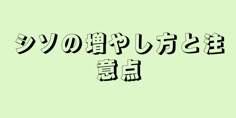 シソの増やし方と注意点