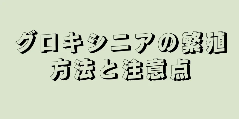 グロキシニアの繁殖方法と注意点
