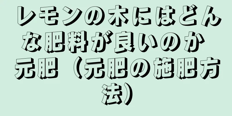 レモンの木にはどんな肥料が良いのか 元肥（元肥の施肥方法）