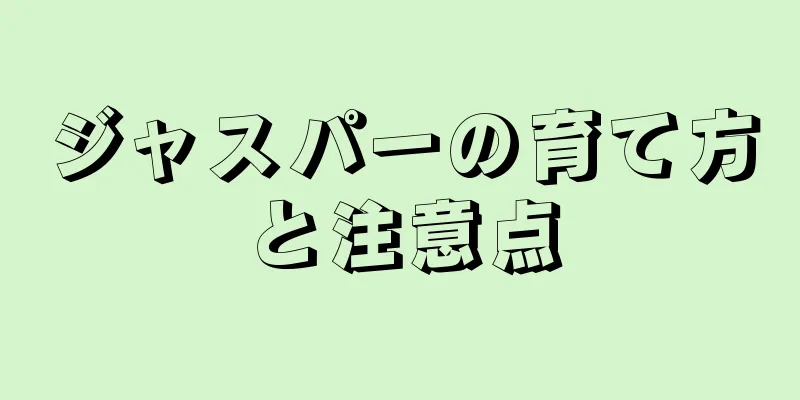 ジャスパーの育て方と注意点