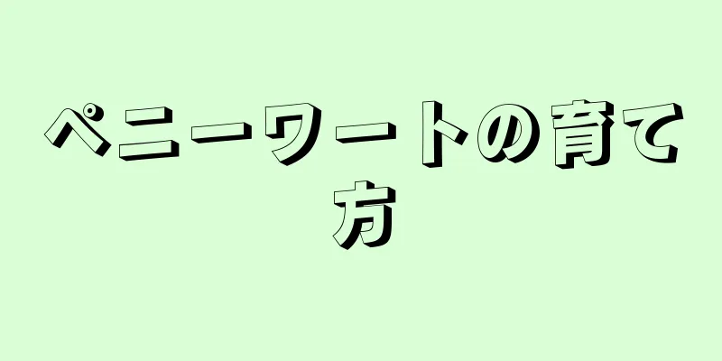 ペニーワートの育て方