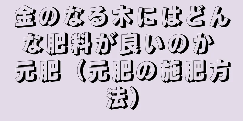 金のなる木にはどんな肥料が良いのか 元肥（元肥の施肥方法）