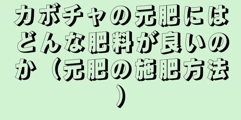 カボチャの元肥にはどんな肥料が良いのか（元肥の施肥方法）