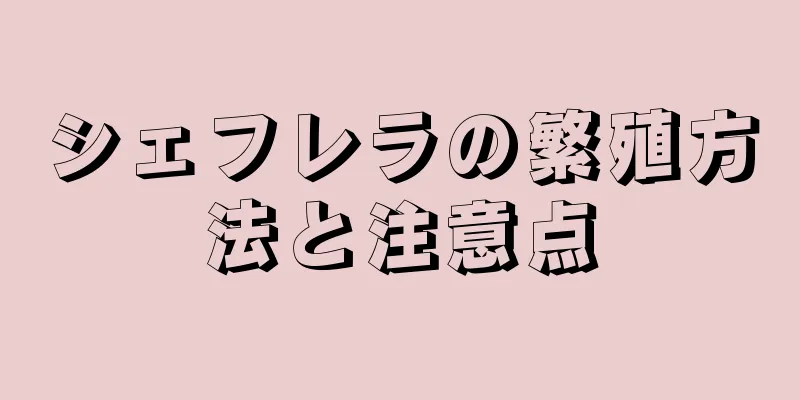 シェフレラの繁殖方法と注意点