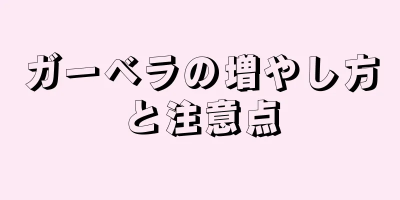 ガーベラの増やし方と注意点