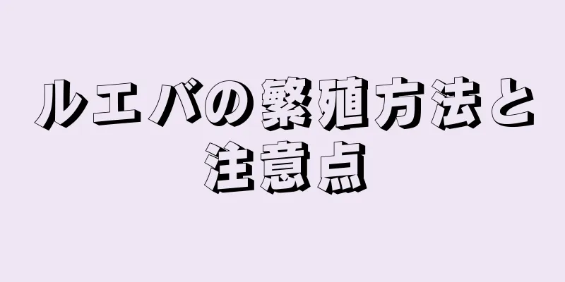 ルエバの繁殖方法と注意点