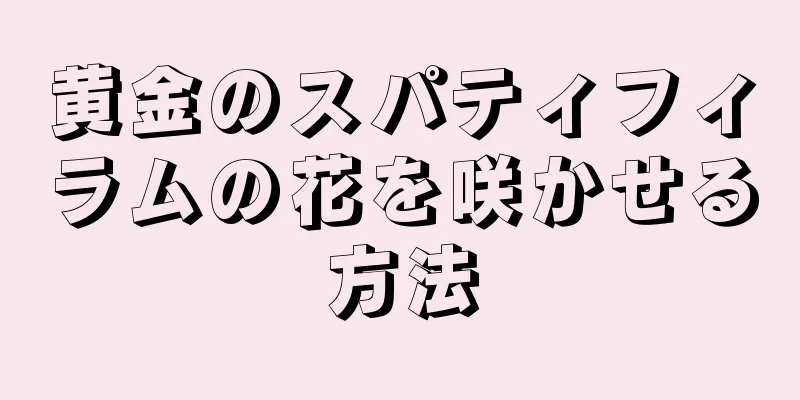黄金のスパティフィラムの花を咲かせる方法