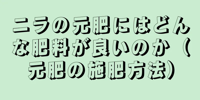 ニラの元肥にはどんな肥料が良いのか（元肥の施肥方法）