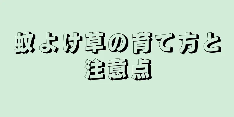 蚊よけ草の育て方と注意点