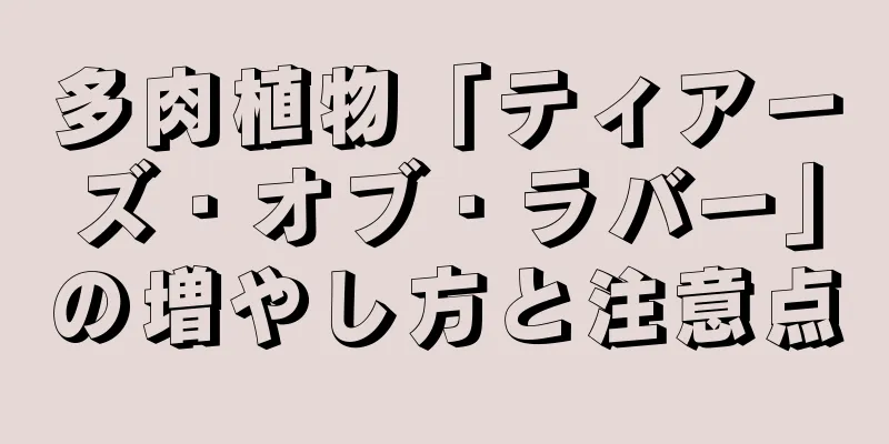 多肉植物「ティアーズ・オブ・ラバー」の増やし方と注意点