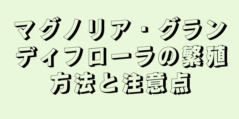 マグノリア・グランディフローラの繁殖方法と注意点