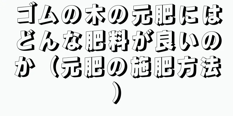 ゴムの木の元肥にはどんな肥料が良いのか（元肥の施肥方法）