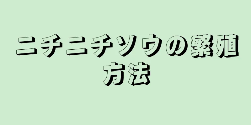 ニチニチソウの繁殖方法