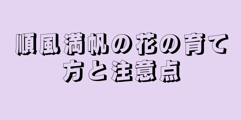 順風満帆の花の育て方と注意点