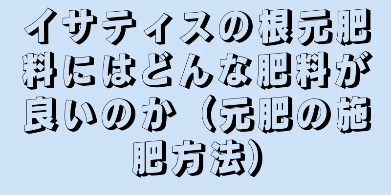 イサティスの根元肥料にはどんな肥料が良いのか（元肥の施肥方法）
