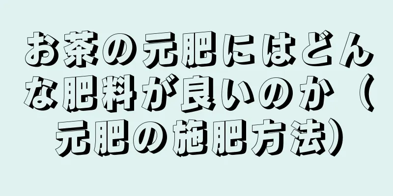 お茶の元肥にはどんな肥料が良いのか（元肥の施肥方法）