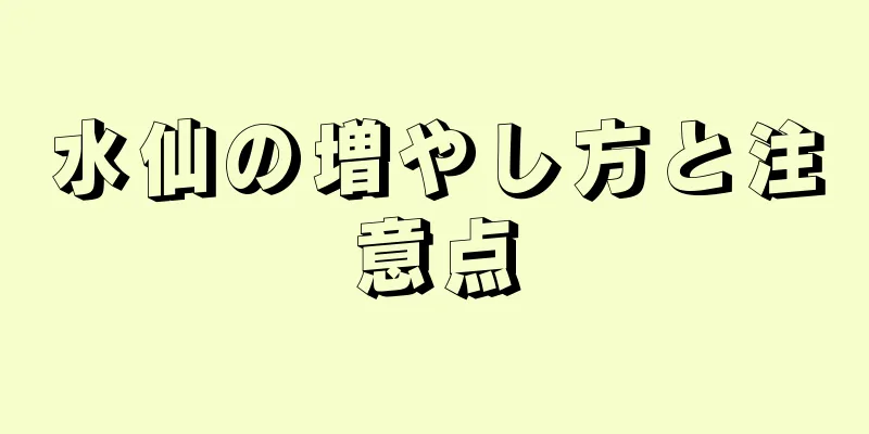 水仙の増やし方と注意点
