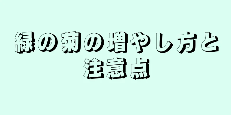 緑の菊の増やし方と注意点