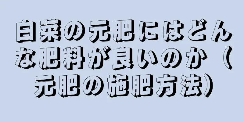 白菜の元肥にはどんな肥料が良いのか（元肥の施肥方法）
