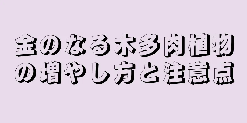 金のなる木多肉植物の増やし方と注意点