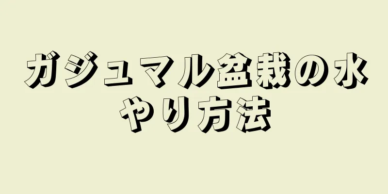 ガジュマル盆栽の水やり方法
