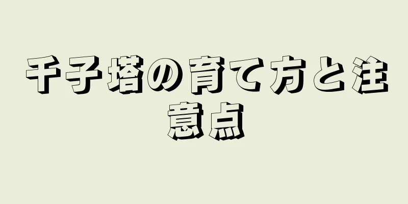 千子塔の育て方と注意点