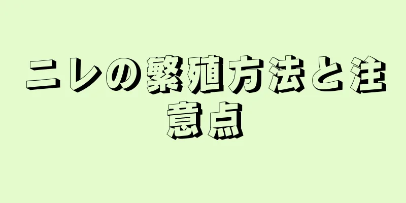 ニレの繁殖方法と注意点