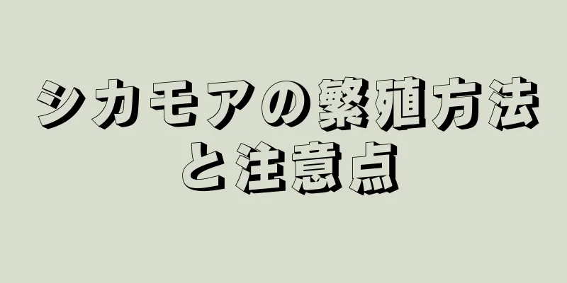 シカモアの繁殖方法と注意点