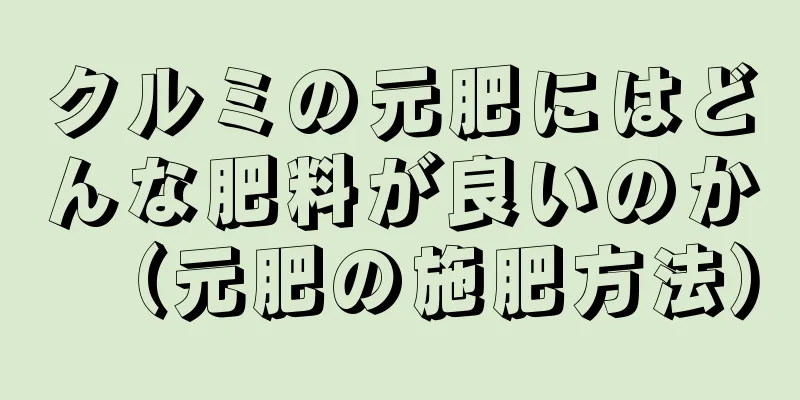 クルミの元肥にはどんな肥料が良いのか（元肥の施肥方法）