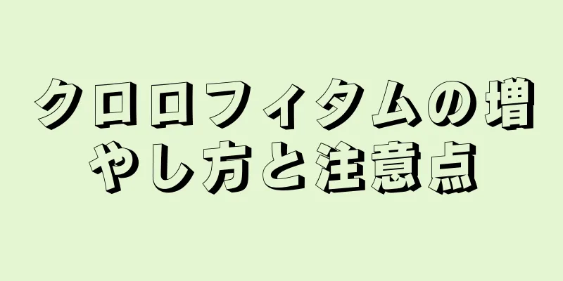 クロロフィタムの増やし方と注意点