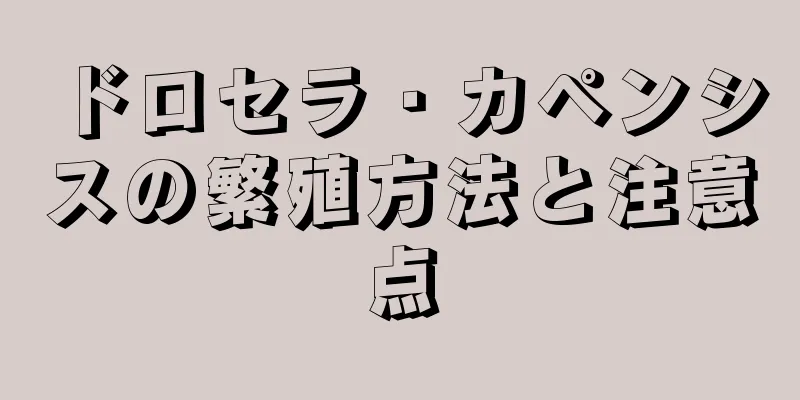 ドロセラ・カペンシスの繁殖方法と注意点