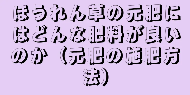 ほうれん草の元肥にはどんな肥料が良いのか（元肥の施肥方法）