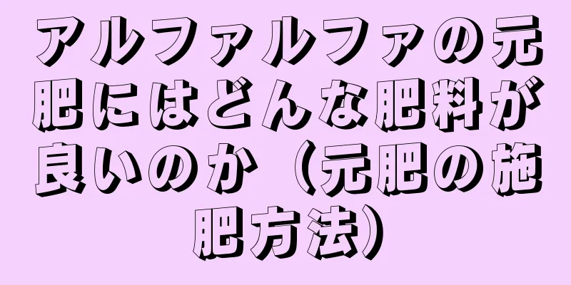 アルファルファの元肥にはどんな肥料が良いのか（元肥の施肥方法）