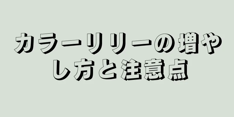 カラーリリーの増やし方と注意点