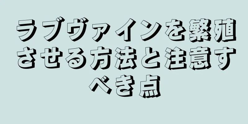 ラブヴァインを繁殖させる方法と注意すべき点