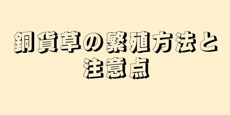 銅貨草の繁殖方法と注意点