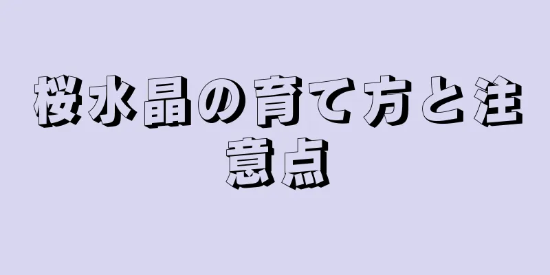 桜水晶の育て方と注意点