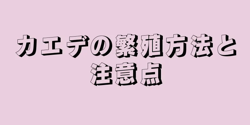 カエデの繁殖方法と注意点