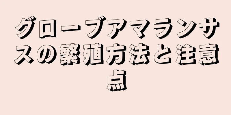 グローブアマランサスの繁殖方法と注意点